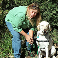 Dog training review|Longmont, Loveland, Berthoud|Northern Colorado